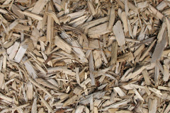 biomass boilers Trescoll